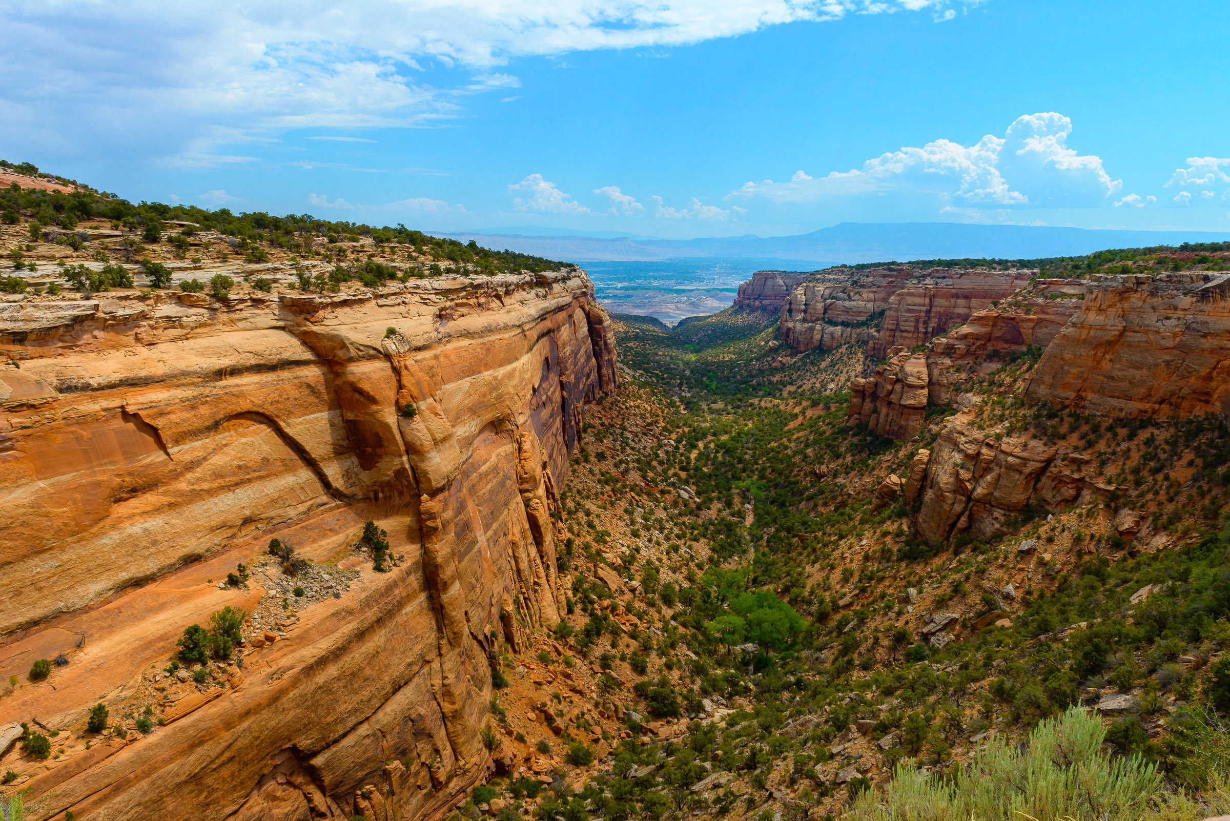 Colorado National Monument Red Canyon Overlook.