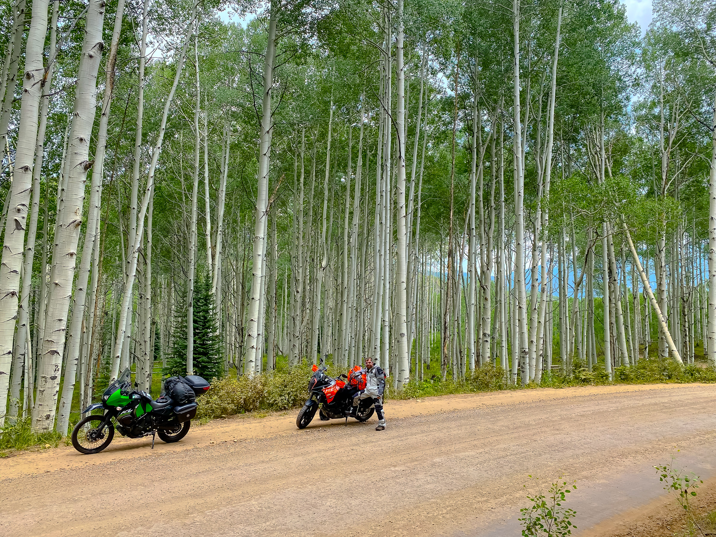 On Kebler pass road between Crested Butte and Paonia. We rode Cottonwood pass out of Buena Vista to Jacks cabin road (118) to 135 into Crested Butte.