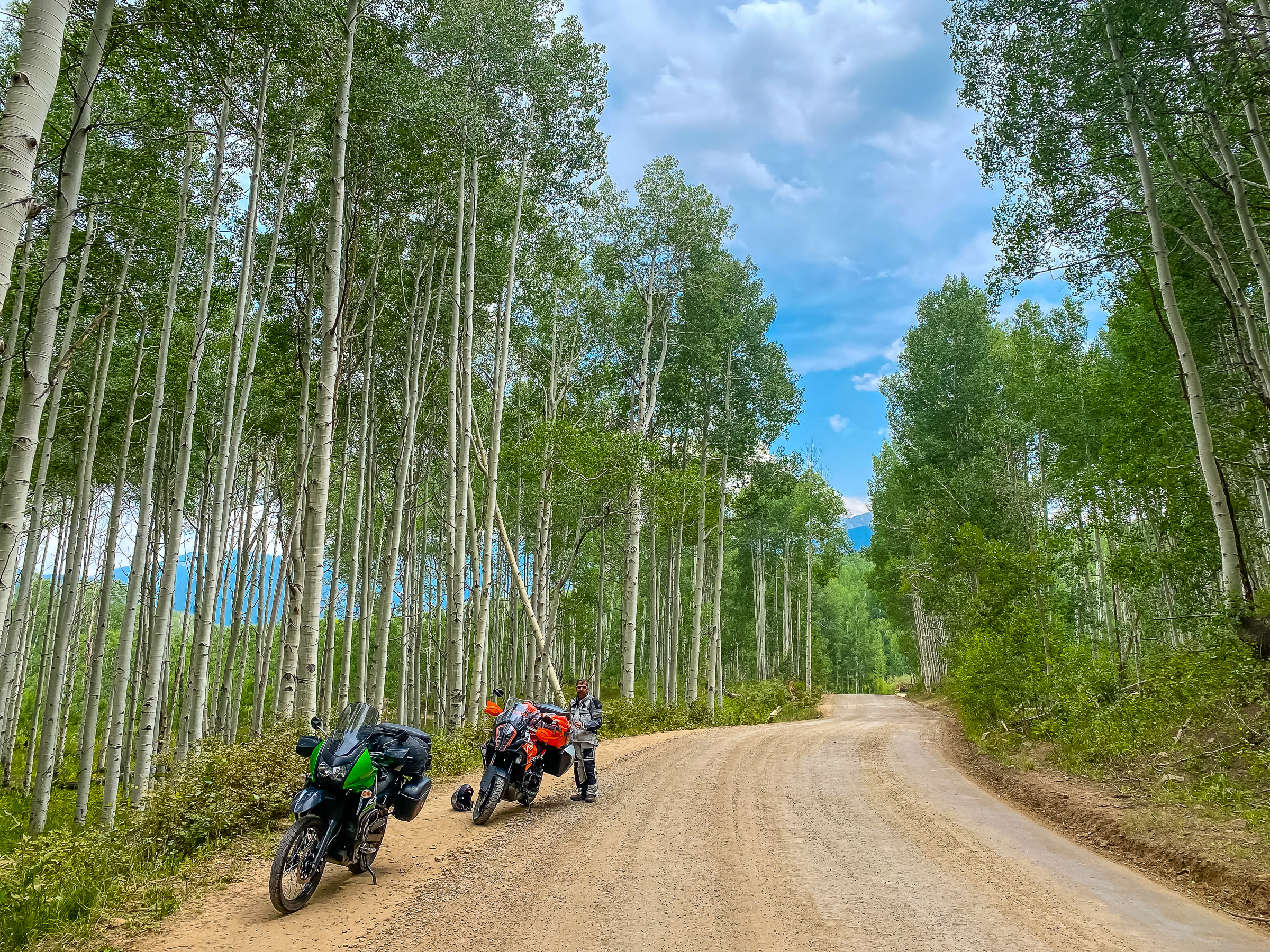 Chuck Kopelson and Carl Thomte taking a break on the Kebler Pass Road.