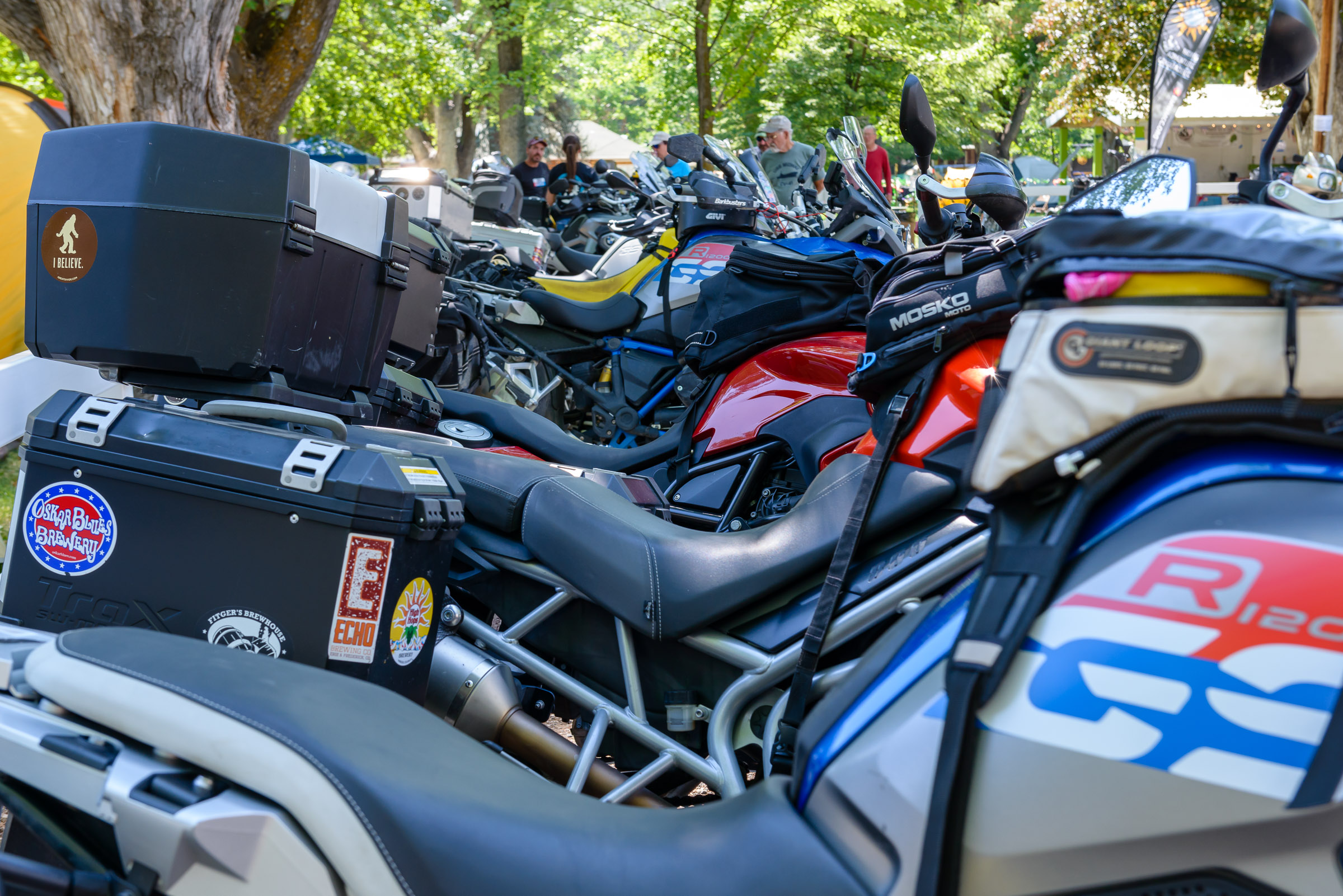 Lots of Bikes